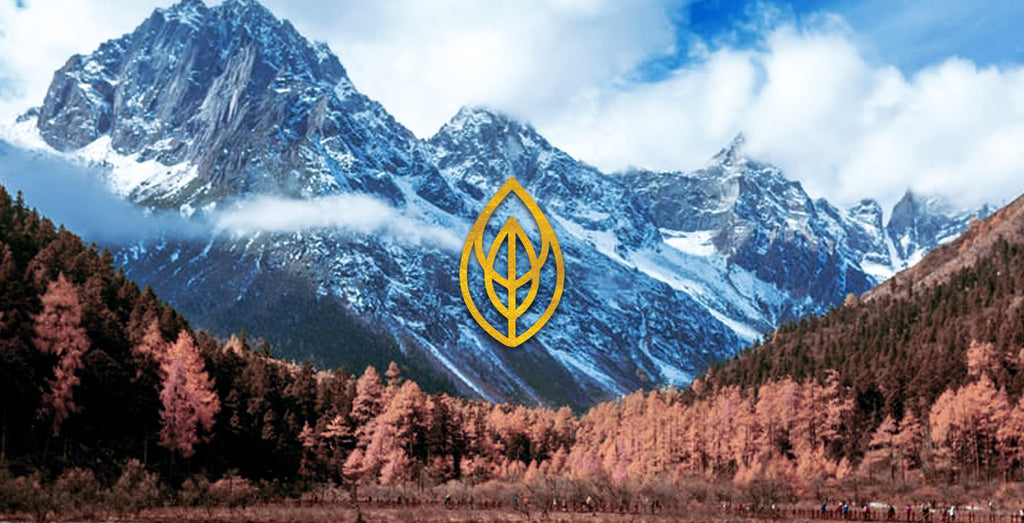 The Perfect Environment