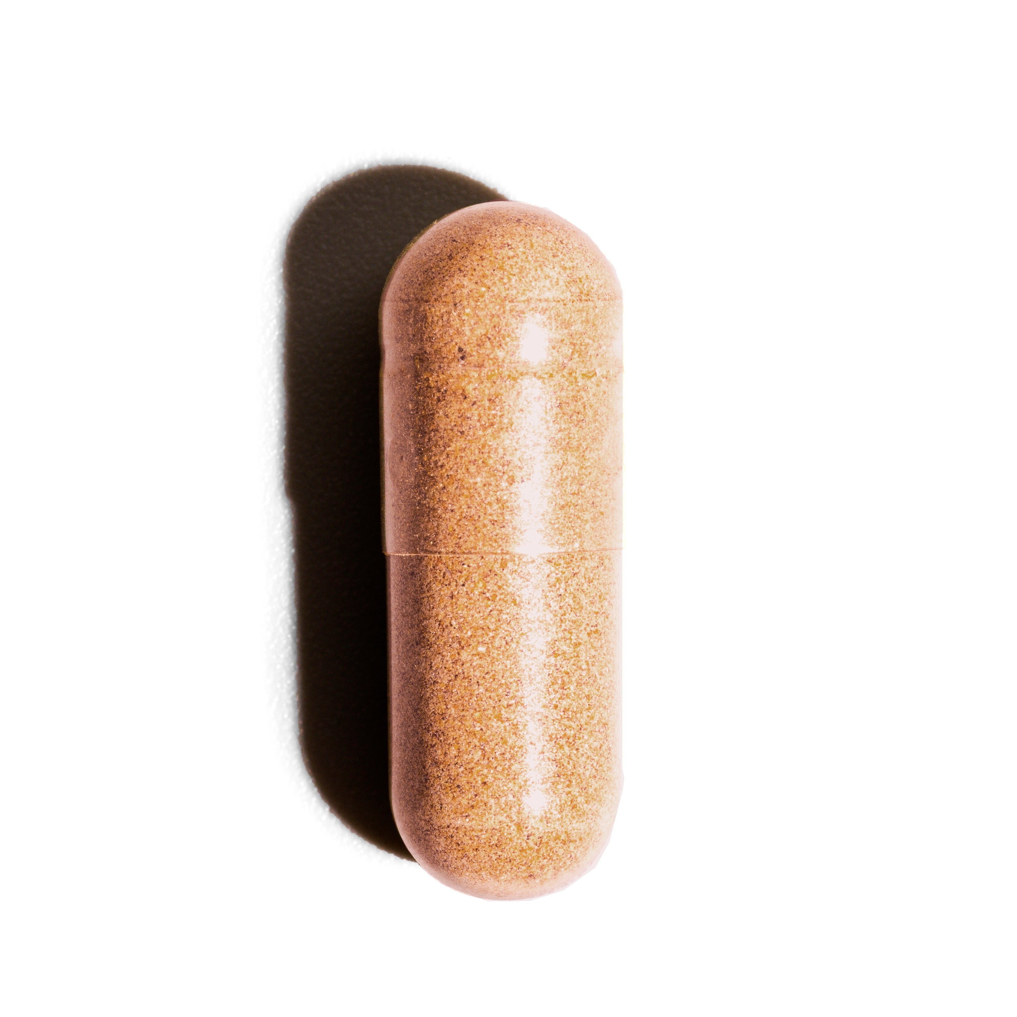 Master Mushroom - Turbo Boost & Resilience